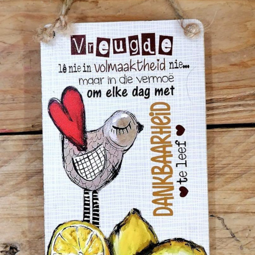 Hangbordjie Vreugde le nie in volmaaktheid nie